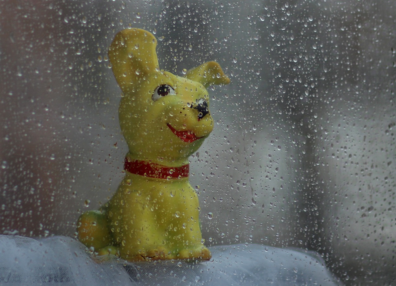 Jouet chien