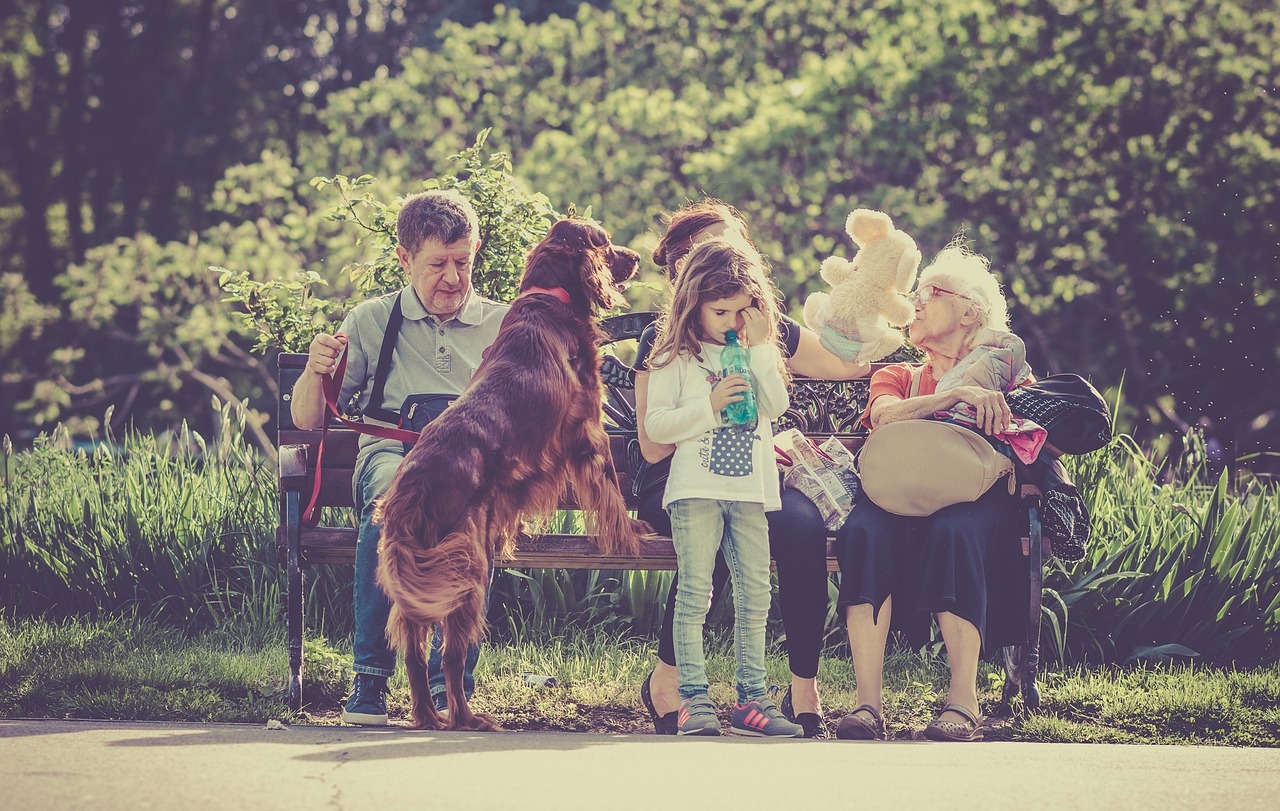 Eduquer son chien en famille