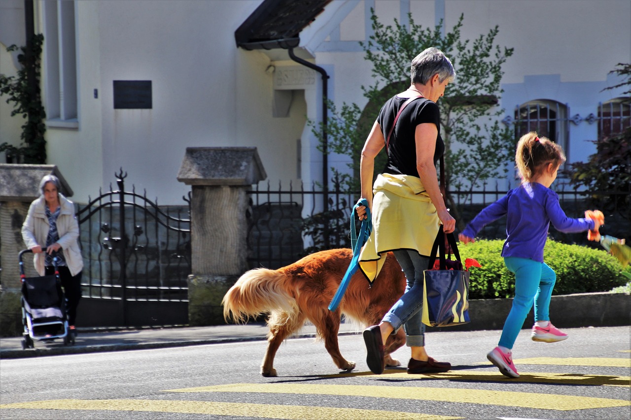 Eduquer son chien en famille